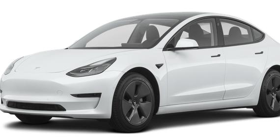 TESLA MODEL 3 2021 5YJ3E1EA8MF018081 image
